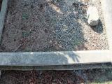 image of grave number 558131